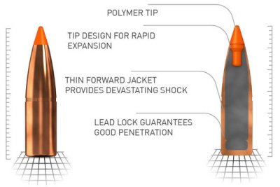 Zoom bild av norma tipstrike