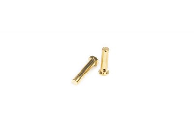 Zoom bild av Iron City Rifle Works Titanium Take Down Pin Set AR-15/AR-9