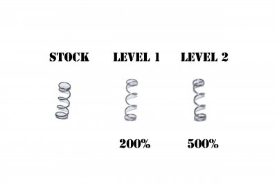 .22lr Power Extractor springs